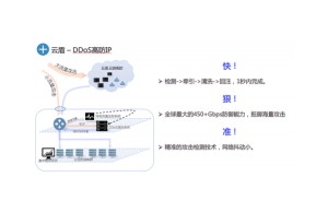 BGP高防方案及处理方法